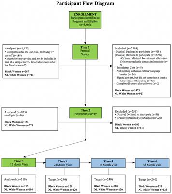 The impact of the pandemic on mothers and children, with a focus on syndemic effects on black families: the “Prenatal to Preschool” study protocol